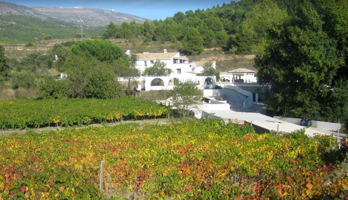 Bodega Finca Seguro